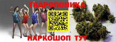 гидропоника Вязьма